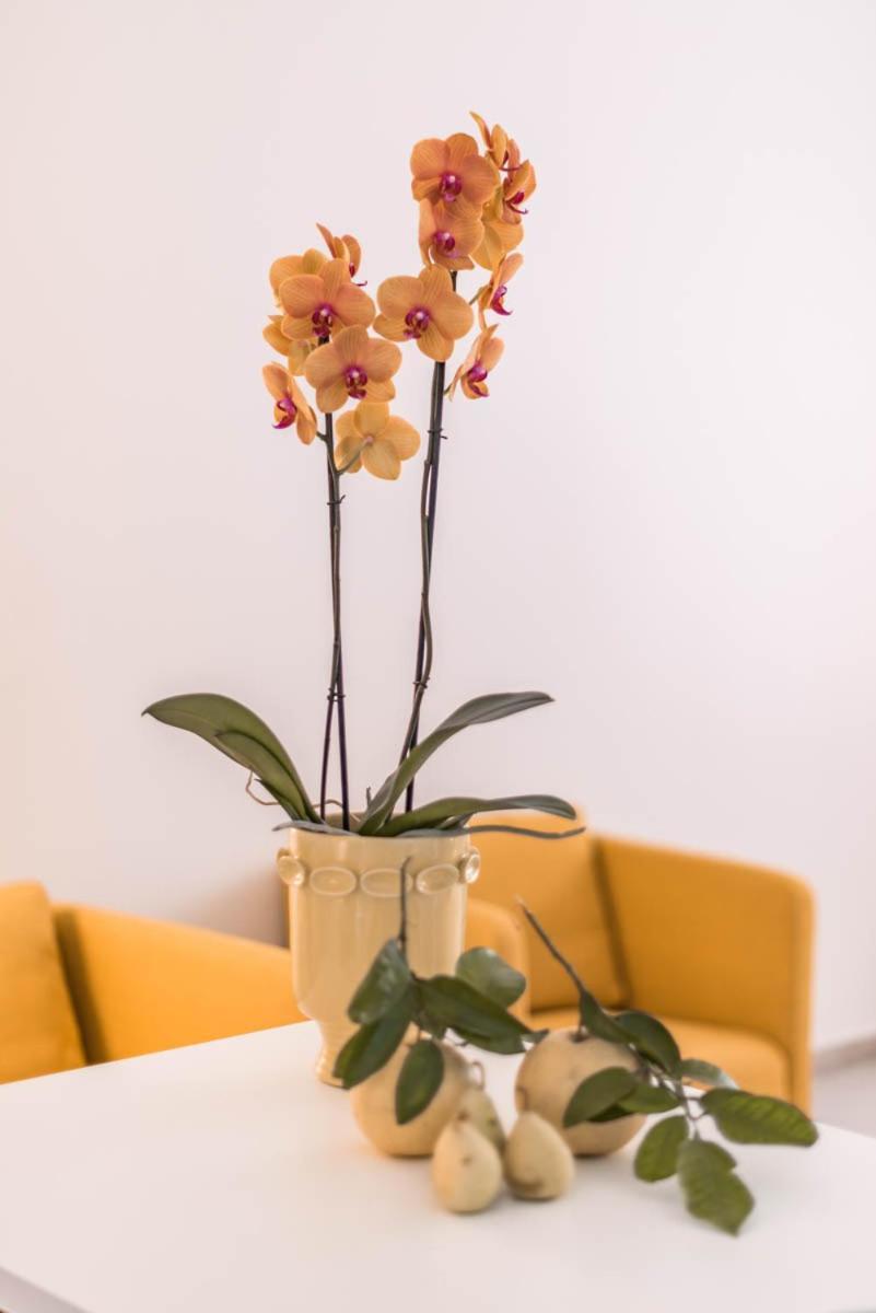 Le Residenze Di Don Nino Apartment Лече Екстериор снимка